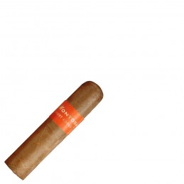 Short Robusto