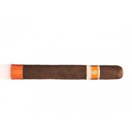 Cigar Smoking World...