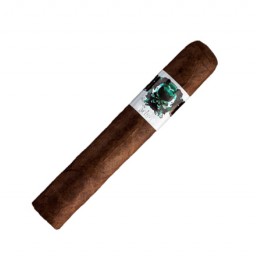 Robusto