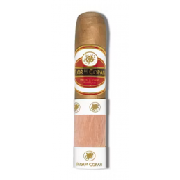 Short Robusto