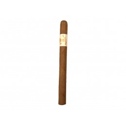 Accomplice - Classic, Lancero