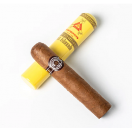 Petit Edmundo med tub