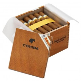 Robusto
