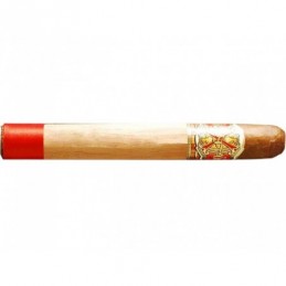 Opus X - Perfecxion X