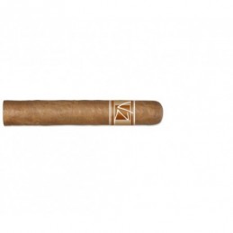 Robusto