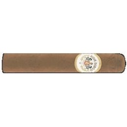 Robusto