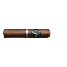 Robusto