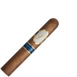 Robusto