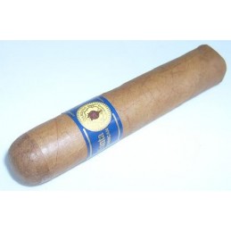 Short Robusto