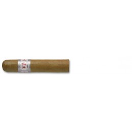 Short Robusto - Tub